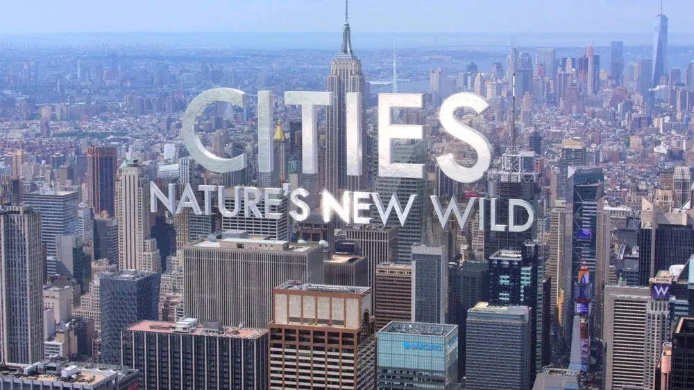 BBC: Cities: Nature's New Wild