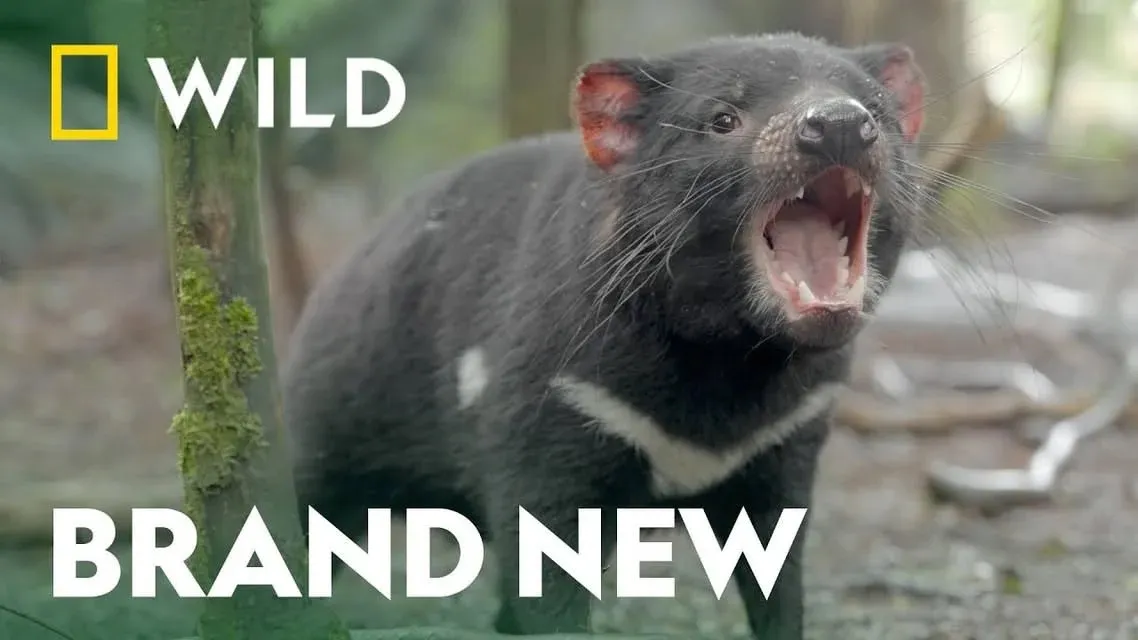 Destination Wild: Extraordinary Australia