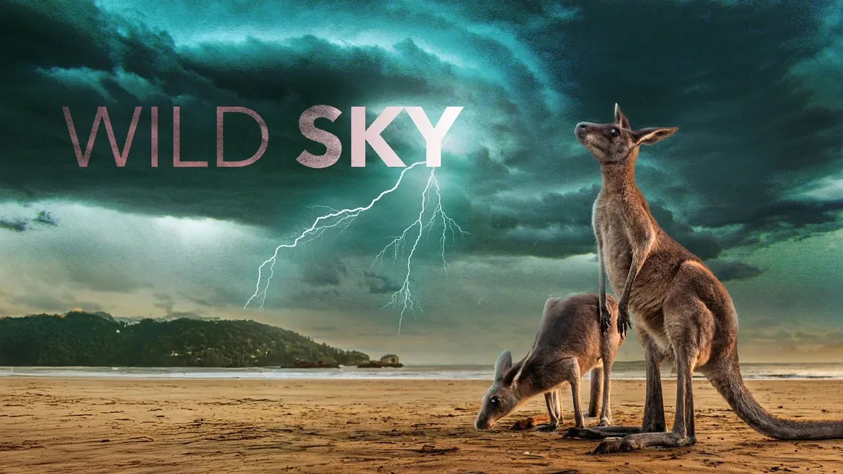 Wild Sky