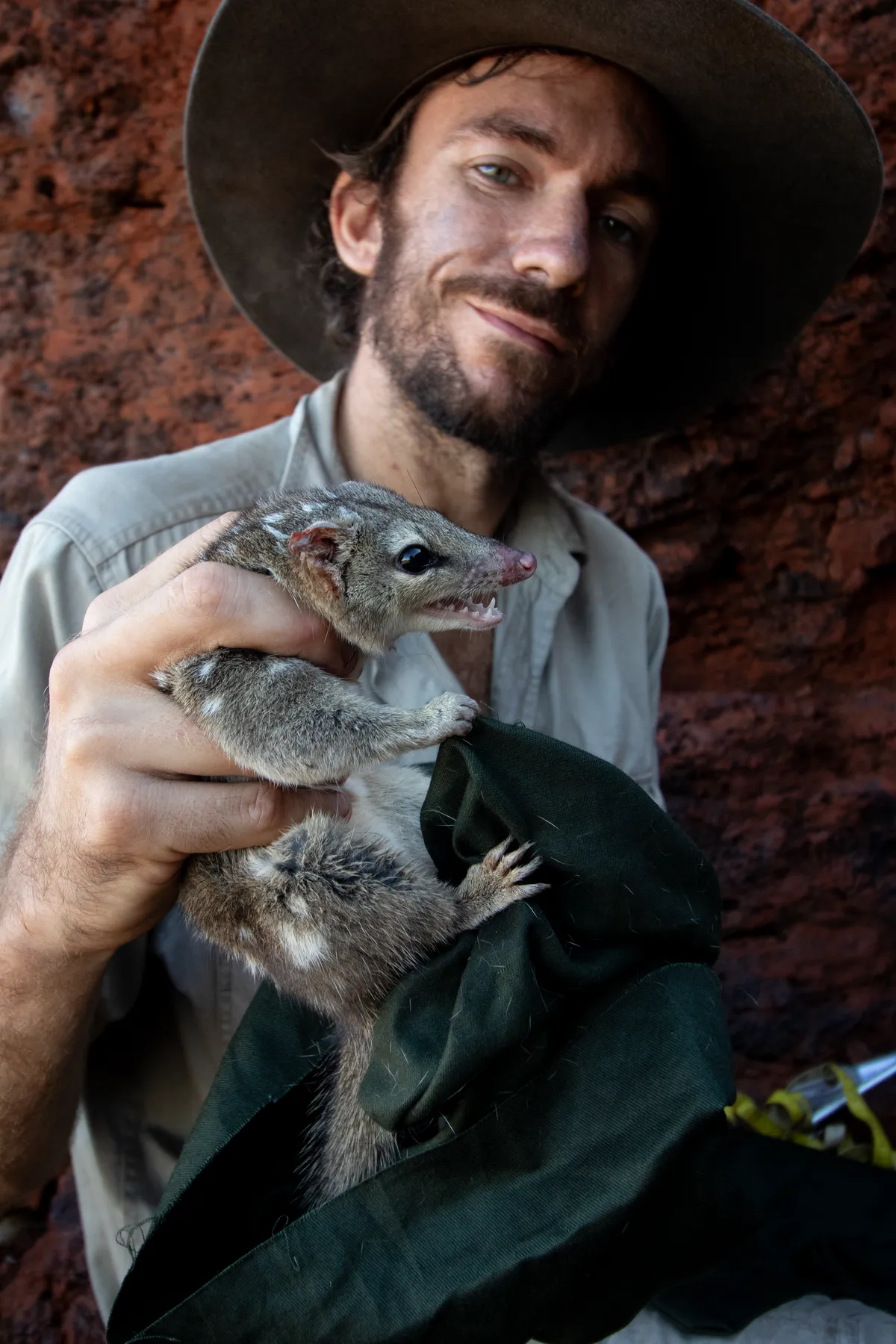 Billy and the Northern Quolls