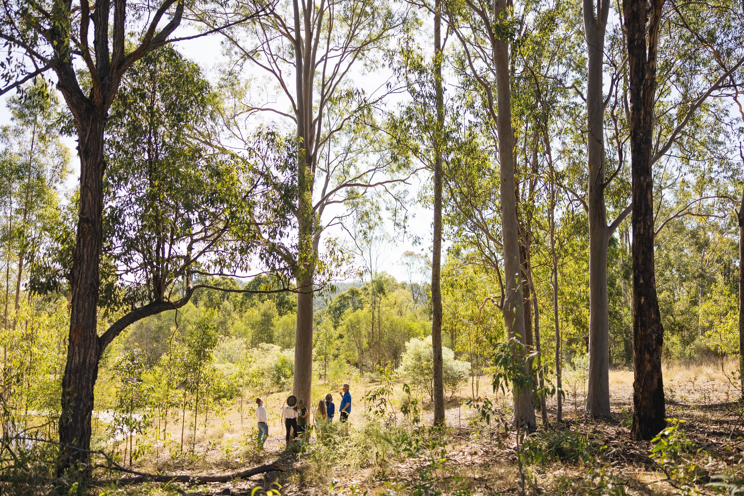 Land for Wildlife: SEQ Partner Properties