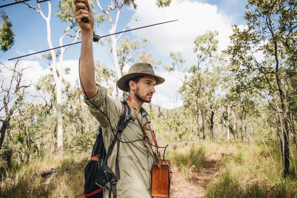 Fire, Predators and the Endangered Northern Bettong