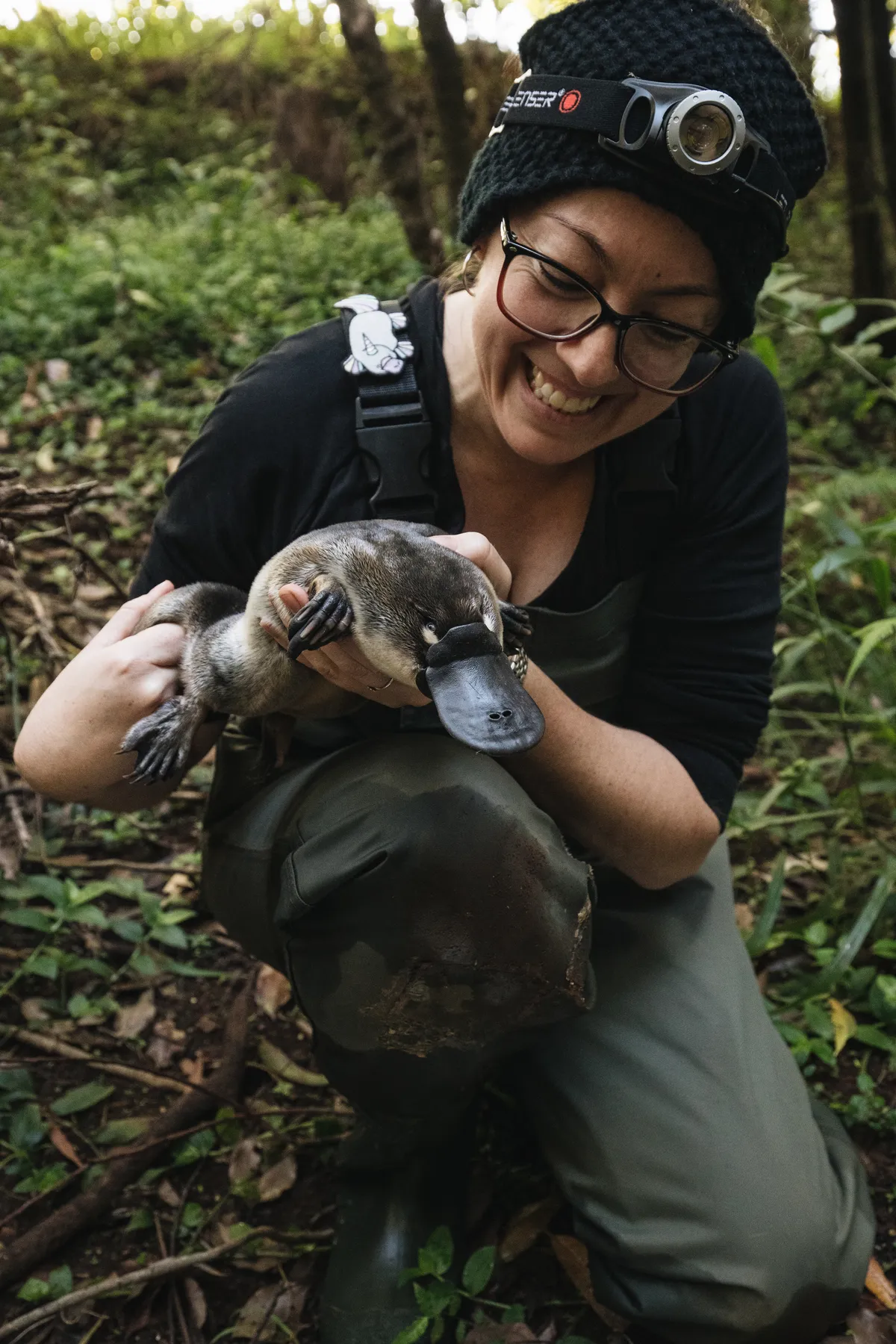 Protecting Platypus in South-East Queensland